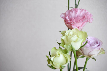 トルコ桔梗とばら