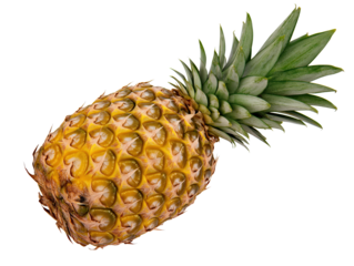 Tropische ganze Ananas mit Krone für kulinarische und gestalterische Zwecke