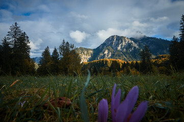 a walk in the mountains, a trip to the mountains, a hike in the mountains