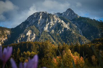 a walk in the mountains, a trip to the mountains, a hike in the mountains