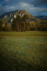 a walk in the mountains, a trip to the mountains, a hike in the mountains