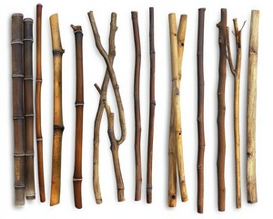 Bamboo Stick Collection Isolated on White Background. Natural Plant Decor in Brown Wood