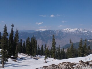 Where Snow Meets the First Hints of Spring