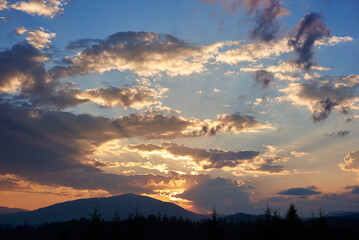 Obraz premium Serene evening sky with hues of blue and soft pink clouds as sun sets. Horizon glows gently, casting light over silhouetted pine trees and rolling hills, creating peaceful and expansive landscape.