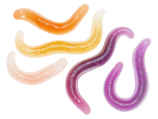 Bunte Gummiwürmer fallen auf weißen Hintergrund für Süßigkeiten-Werbung und Design