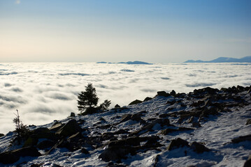 Snow-covered mountain slope with scattered rocks and trees. Landscape bathed in soft sunlight,...