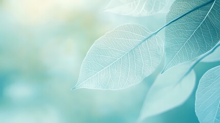 Obraz premium Turquoise leaf texture illustration poster background