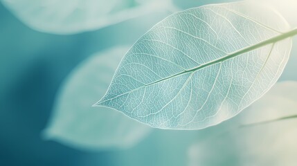 Obraz premium Turquoise leaf texture illustration poster background