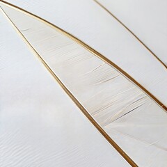 Close-Up of Delicate White Feather with Golden Accents
