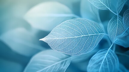 Obraz premium Turquoise leaf texture illustration poster background