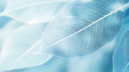 Obraz premium Turquoise leaf texture illustration poster background