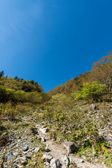 北岳登山道草すべり　山梨県南アルプス市