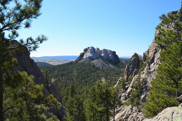 Obraz premium park state