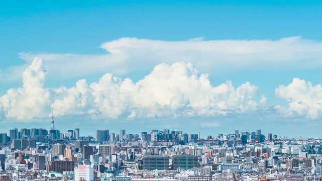 【東京都】夏空広がる東京の都市風景　タイムラプス　フィックス　
Tokyo cityscape with summer clouds - Japan - Time lapse video - fix