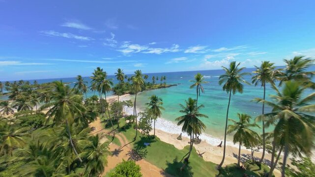 Fpv flight along beach of coquitos during sunny day with palm trees and blue Caribbean Sea. Speed forward flight.