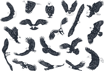 set of eagles, birds silhouette on white background, vector