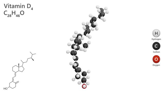 Molecule of Vitamin D4, or enthcalciferol (C27H44O), is a vitamin derived from certain fungi. It plays a role in calcium metabolism, similar to other vitamin D forms. White background. 3d render