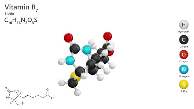 Molecule of Vitamin B7, or biotin (C10H16N4O3S), is a vitamin essential for carbohydrate, fat, and protein metabolism. Biotin supports healthy skin, hair and nails. White background. 3d rendering