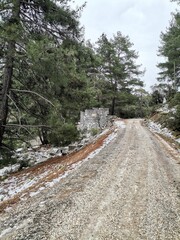 mountain road, Olympos, Antalya