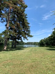 Meadow with trees and lake in Laxenburg Castle Park, Austria