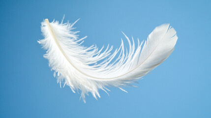 Naklejka premium A depiction of a single white feather gracefully falling against a blue background, highlighting the softness of floating feathers