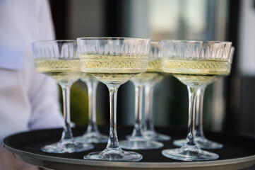 The waiter serving champagne on tray. Tray of glasses of summer sparkling wine for guests at wedding reception. Waiter holding glasses in backyard. Woman brings full glasses of champagne closeup.