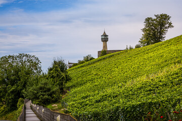 Le Phare de Verzenay au milieu des vignobles de vin pétillant de Champagne © Gerald Villena
