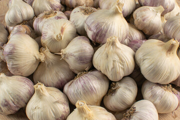 Fresh Organic Garlic Bulbs in Abundance for Healthy Cooking and Aromatic Flavor
