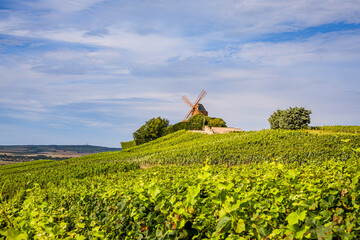 Le Moulin de Verzenay au milieu des vignobles de vin pétillant de Champagne © Gerald Villena