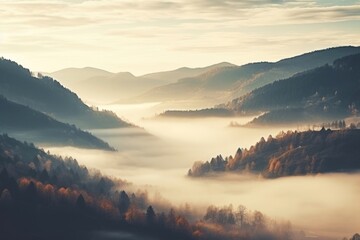 Obraz premium Vintage forrest landscape fog panoramic outdoors.