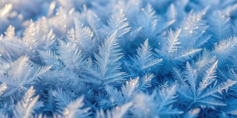 Abstract winter texture background with icy and cold pattern