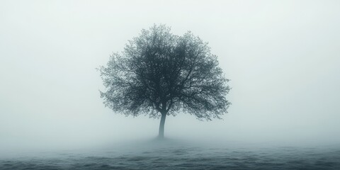 A solitary tree stands in a misty landscape, creating an ethereal and serene atmosphere, perfect for nature-themed projects.