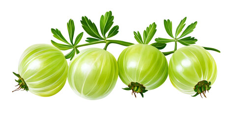  Indian Gooseberry on white background, generative ai