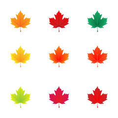 Set of colorful maple leaves