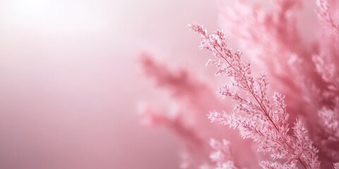 Fototapeta premium Delicate pink foliage gently swaying, creating a serene and calming atmosphere. Perfect for nature and wellness themes.