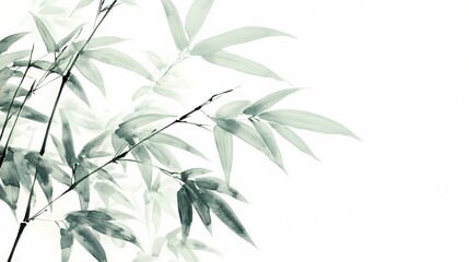 Obraz premium Traditional Chinese bamboo texture illustration poster background