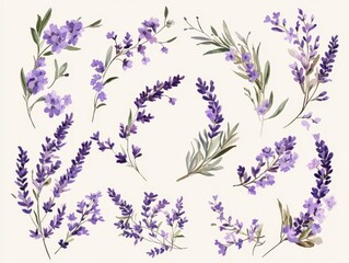 2408 20.A beautifully crafted set of calligraphic flourishes and lavender floral elements, designed to form intricate frames and borders. The delicate wildflowers and branches add a rustic charm to