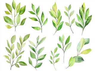 2408 26.A set of soft, watercolor-painted botanical leaves and branches in vibrant green hues, perfect for adding a natural, organic touch to wedding invitations, greeting cards, or decorative