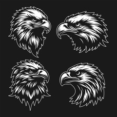 Group of Eagle vector illustration in black background