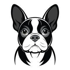 bulldog vector design 
