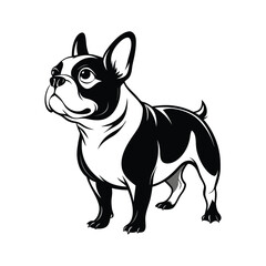 bulldog vector design 