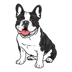 bulldog vector design 