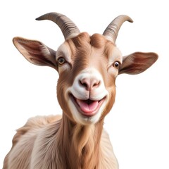 Obraz premium A smiling goat with large ears and a pink nose