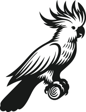 recommend clip art: cockatoo bird sitting on a branch silhouette vector art illustration