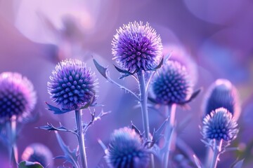 Abstract thistle silhouettes with bokeh background