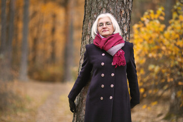 Beautiful silver haired mature woman embraces tree in autumn forest, enjoying golden leaves falling, relaxes and reconnects with nature, peaceful and crisp fall air