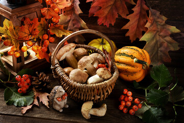 Autumn  composition with porcini mushrooms in wicker basket