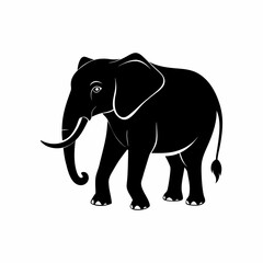 Obraz premium Elephant silhouette 