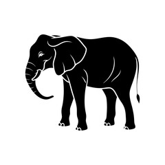 Obraz premium Elephant silhouette 