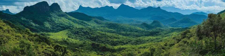 Naklejka premium A mountain range with a lush green forest in the foreground. The mountains are covered in trees and the sky is clear